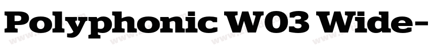 Polyphonic W03 Wide字体转换 Polyphonic W03 Wide字体转换
